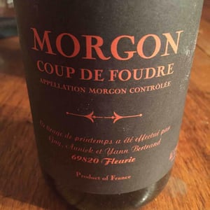 Coup de Foudre (Morgon) - Les Bertrand - Guy, Annick & Yann Bertrand 