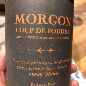 Coup de Foudre (Morgon) - Les Bertrand - Guy, Annick & Yann Bertrand 