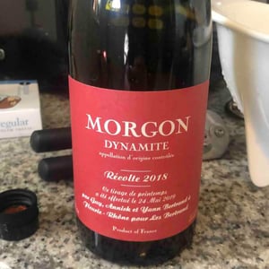 Coup de Foudre (Morgon) - Les Bertrand - guy-annick-yann-bertrand