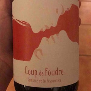 Coup de foudre - Domaine de la fessardière - emeline-bergeron-et-jerome-dumanois -2021