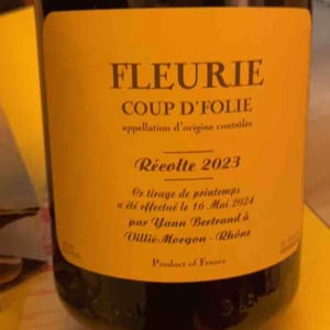Coup D’folie - Les Bertrand - Guy, Annick & Yann Bertrand -2020