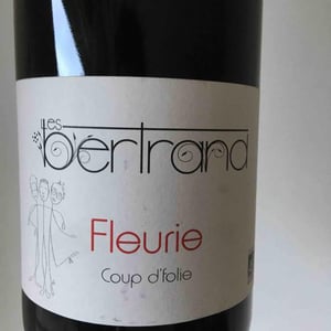 Les Bertrand - Guy, Annick & Yann Bertrand - Coup D’folie