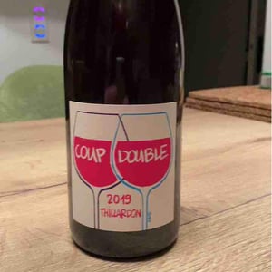 Coup Double - Domaine Thillardon - Aude, Jean-Baptiste, Charles et Paul-Henri Thillardon -2019