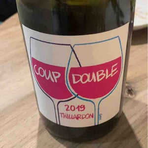 Coup Double - Domaine Thillardon - aude-jean-baptiste-charles-et-paul-henri-thillardon -2019