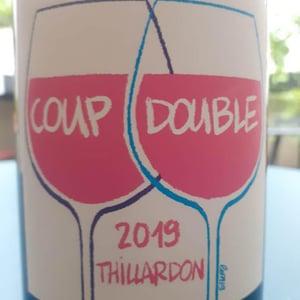 Coup Double - Domaine Thillardon - aude-jean-baptiste-charles-et-paul-henri-thillardon -2019