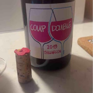 Coup Double - Domaine Thillardon - Aude, Jean-Baptiste, Charles et Paul-Henri Thillardon -2019