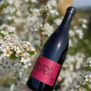 Coupo Santo - Côtes Du Rhône Villages 2010