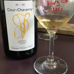 Cour Cheverny - Philippe Tessier - Philippe et Simon Tessier 