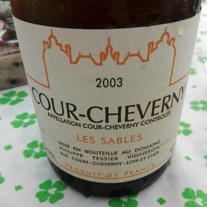 Cour Cheverny - Philippe Tessier - philippe-et-simon-tessier