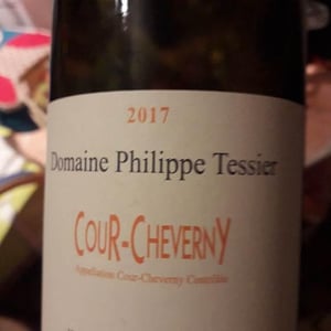 Philippe Tessier - Philippe et Simon Tessier - Cour Cheverny