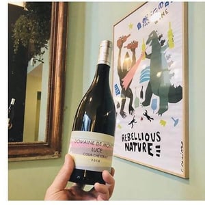 Cour-Cheverny - Domaine de Montcy - vincent-hayer