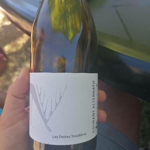 Courant Alternatif - Domaine Des Trouillères - camille-mikael-hyvert
