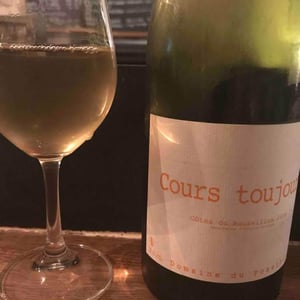 Domaine du Possible - Loïc Roure - Cours Toujours