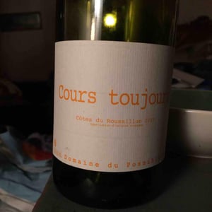 Domaine du Possible - Loïc Roure - Cours Toujours