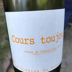 Domaine du Possible - Loïc Roure - Cours Toujours