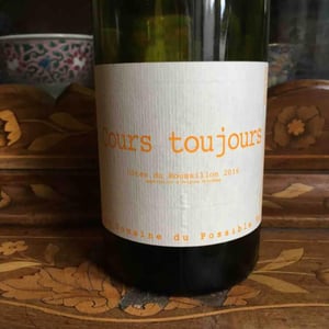 Domaine du Possible - Loïc Roure - Cours Toujours