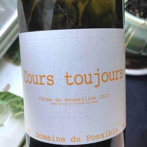 Domaine du Possible - Loïc Roure - Cours Toujours