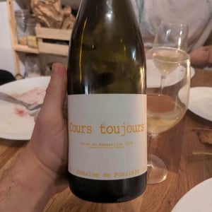Domaine du Possible - Loïc Roure - Cours Toujours