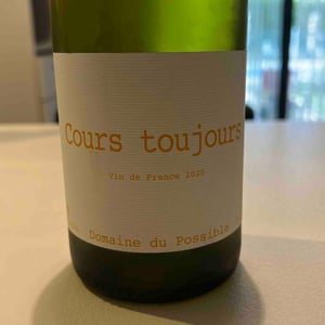 Domaine du Possible - Loïc Roure - Cours Toujours