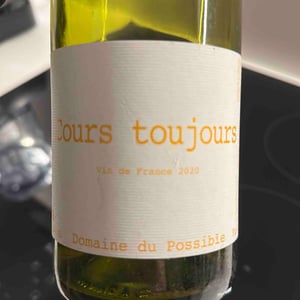 Cours Toujours - Domaine du Possible - Loïc Roure 