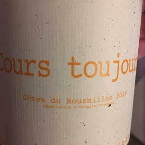 Domaine du Possible - Loïc Roure - Cours Toujours