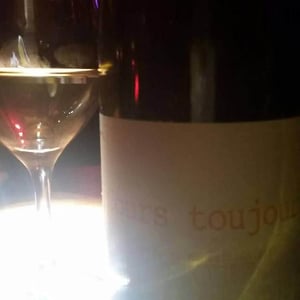 Domaine du Possible - Loïc Roure - Cours Toujours