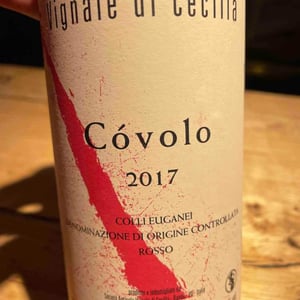 Còvolo - Vignale di Cecilia - paolo-brunello