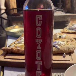 Coyotte - Marius Bielle - Damien Bielle -2021