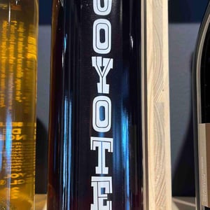 Coyotte - Marius Bielle - damien-bielle -2021