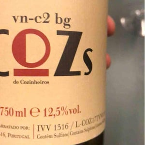 COZs c2 Baga - Tiago Teles - Tiago Teles 