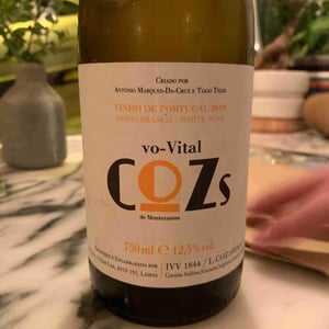 Cozs Vo-Vital - Tiago Teles - Tiago Teles 