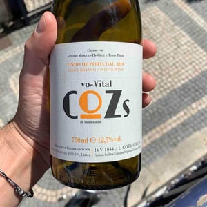 Cozs Vo-Vital - Tiago Teles - tiago-teles