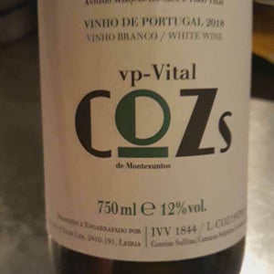 Cozs Vp-Vital - Tiago Teles - Tiago Teles 
