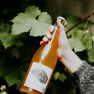Crazy Crazy - Marto Wines - Weingut Wörner - Martin Wörner 