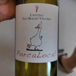 PorcaLoca! - Cantina San Biagio Vecchio - Lucia Ziniti & Andrea Balducci 