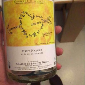 Crémant Brut Nature Flèche Saignante - Domaine Brand & Fils - Philippe Brand 