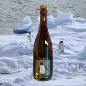 Crémant D'Alsace Extra Brut - Domaine Rietsch - jean-pierre-sophie-rietsch