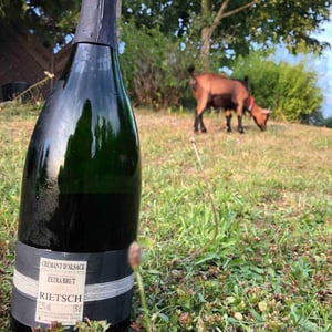 Crémant D'Alsace Extra Brut - Domaine Rietsch - jean-pierre-sophie-rietsch