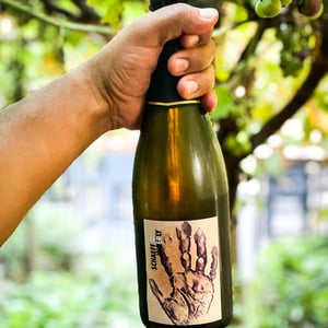 Crémant Extra brut - Domaine Schaeffer-Woerly - maxime-lucie-vincent-woerly -2018