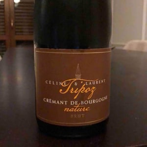 Crémant de Bourgogne Brut Nature - Domaine Tripoz - Céline & Laurent Tripoz 