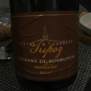 Crémant de Bourgogne Brut Nature - Domaine Tripoz - celine-laurent-tripoz
