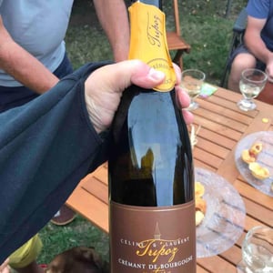 Crémant de Bourgogne Brut Nature - Domaine Tripoz - Céline & Laurent Tripoz 
