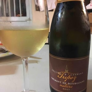 Crémant de Bourgogne Brut Nature