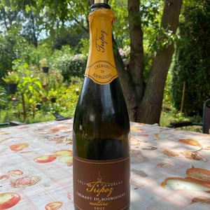 Crémant de Bourgogne Brut Nature - Domaine Tripoz - Céline & Laurent Tripoz