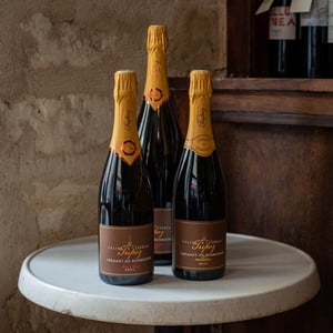 Crémant de Bourgogne Brut Nature - Domaine Tripoz - Céline & Laurent Tripoz 