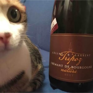 Domaine Tripoz - Céline & Laurent Tripoz - Crémant de Bourgogne Brut Nature
