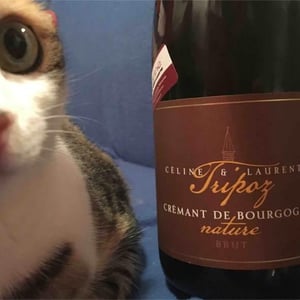 Crémant de Bourgogne Brut Nature