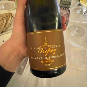 Domaine Tripoz - Céline & Laurent Tripoz - Crémant de Bourgogne Brut Nature