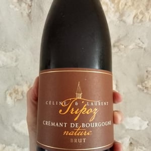 Crémant de Bourgogne Brut Nature - Domaine Tripoz - celine-laurent-tripoz