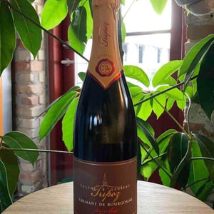 Crémant De Bourgogne Brut Prestige - Domaine Tripoz - celine-laurent-tripoz